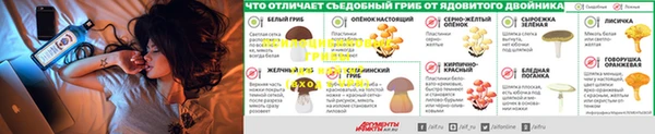 дживик Алексин