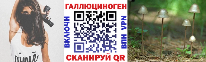 Галлюциногенные грибы мицелий Солнечногорск